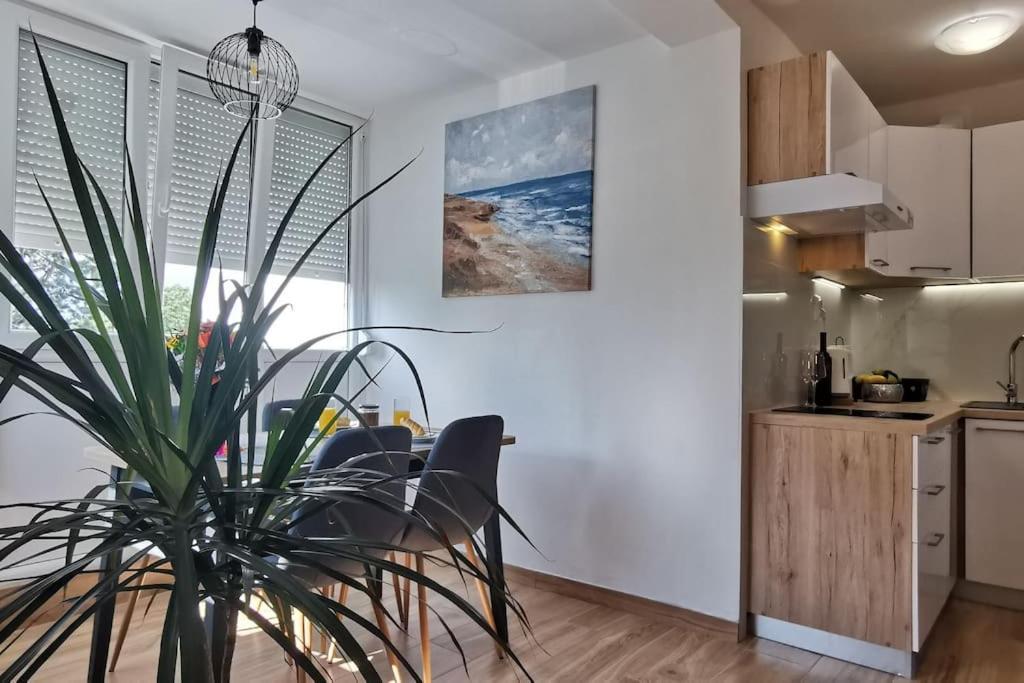 Apartman Liburna リエカ エクステリア 写真